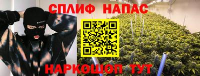 дмт Бузулук