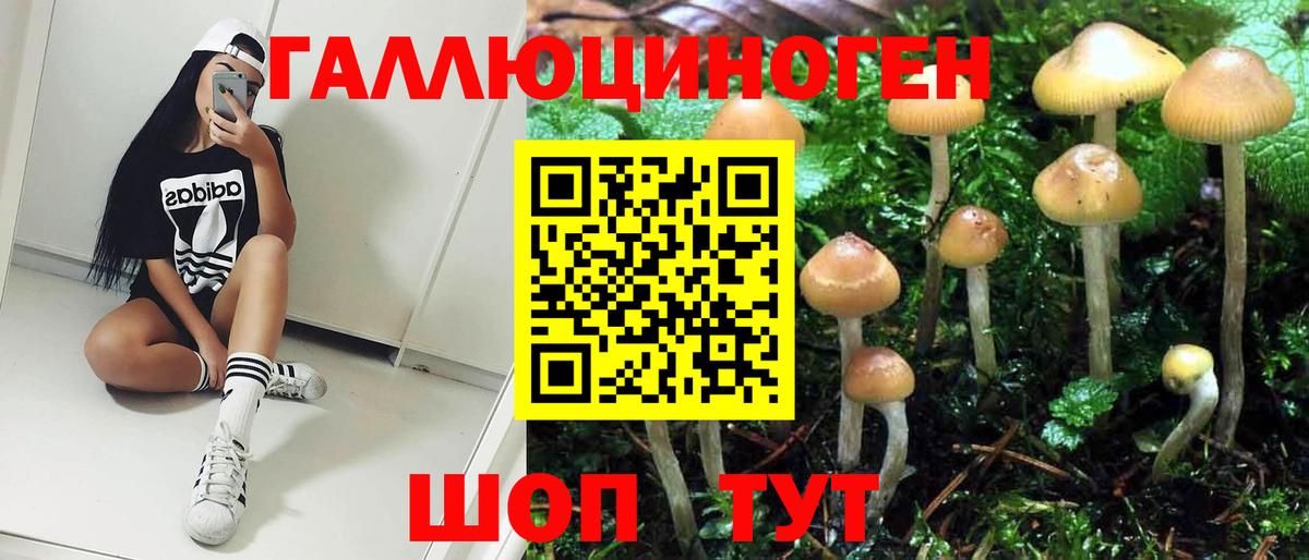 Псилоцибиновые грибы мухоморы  Вход с VPN  хочу   Сафоново 