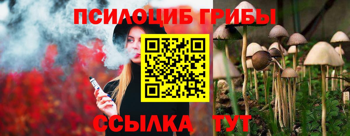 Псилоцибиновые грибы MAGIC MUSHROOMS Сафоново